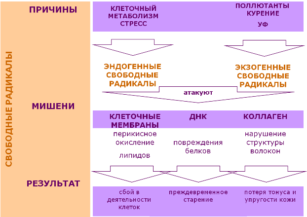 table_radical.png