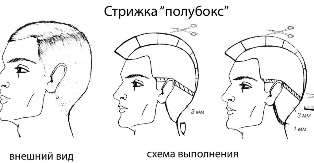 Схема Мужских Стрижек Фото