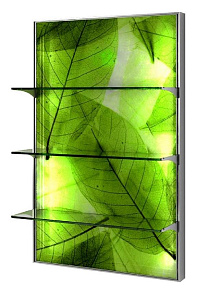 Витрина EXPO LIGHT - 1
