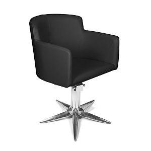 Кресло парикмахерское DORIAN - 10